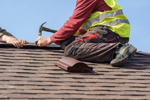 Best Roof Repair Services  in Laporte, CO