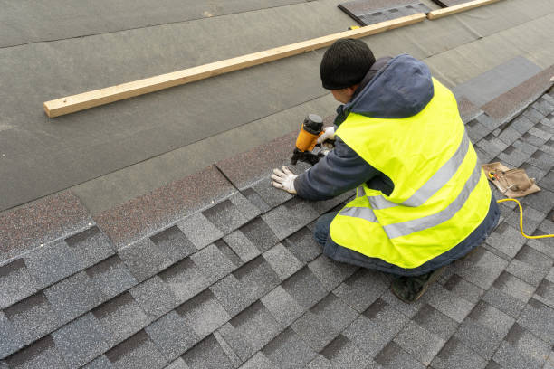 Best Metal Roofing Contractor  in Laporte, CO