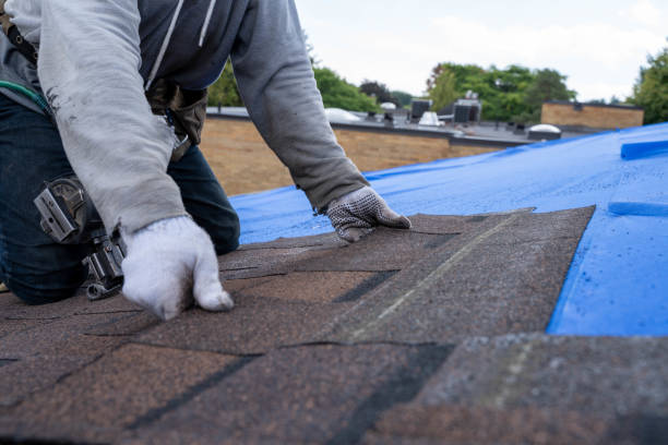 Quick and Trustworthy Emergency Roof Repair Services in Laporte, CO