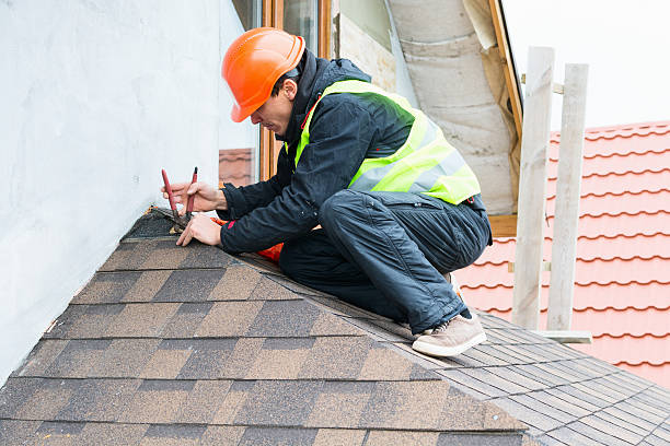 Best Metal Roofing Contractor  in Laporte, CO